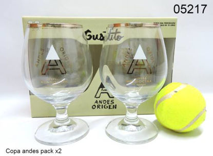 Imagen de COPA ANDES PACK X2 5.25